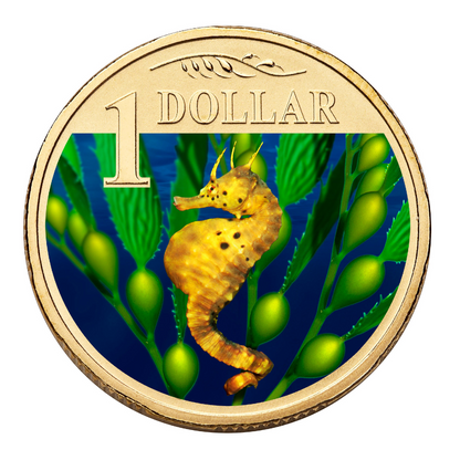 2007 $1 Uncirculated Coloured Coin: Ocean Series - "Bigbelly Seahorse."