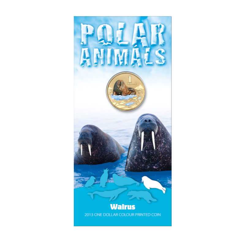 2013 $1 Uncirculated Coloured Coin: Polar Animals - "Walrus."