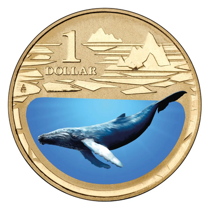 2013 $1 Uncirculated Coloured Coin: Polar Animals - "Humpback Whale."