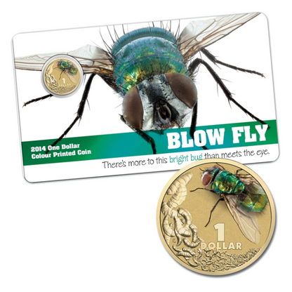 2014 $1 Colour Printed Uncirculated Coin: Bright Bug - "Blow Fly."