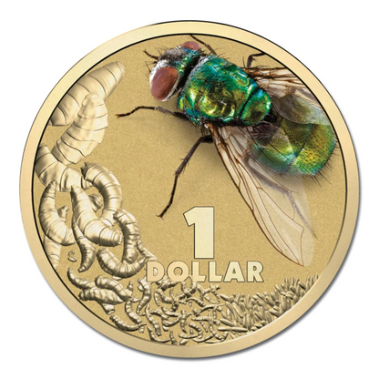 2014 $1 Colour Printed Uncirculated Coin: Bright Bug - "Blow Fly."