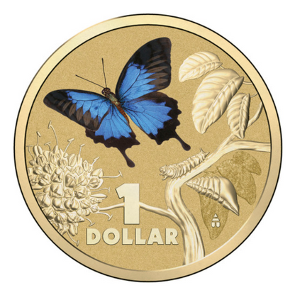 2014 $1 Colour Printed Uncirculated Coin: Bright Bug - "Ulysses Butterfly."