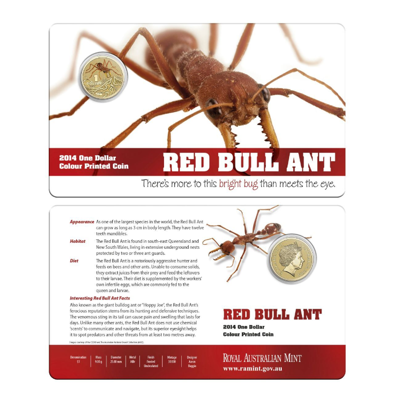 2014 $1 Colour Printed Uncirculated Coin: Bright Bug - "Red Bull Ant."