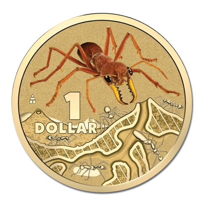 2014 $1 Colour Printed Uncirculated Coin: Bright Bug - "Red Bull Ant."