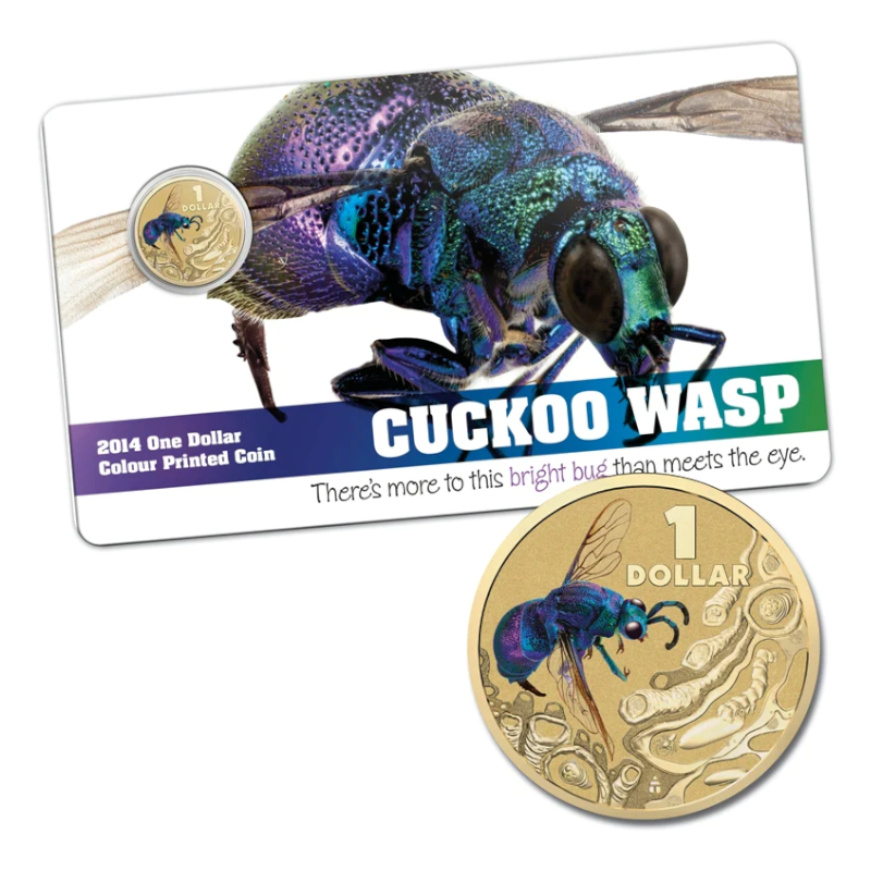 2014 $1 Colour Printed Uncirculated Coin: Bright Bug - "Cuckoo Wasp."