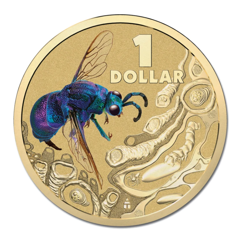 2014 $1 Colour Printed Uncirculated Coin: Bright Bug - "Cuckoo Wasp."