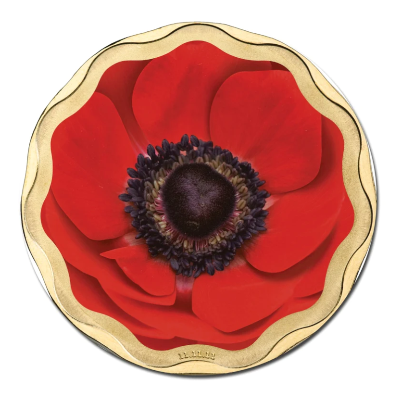 2011 $5 Frosted Uncirculated Pad Printed Coin: "Remembrance Day 11.11.11."